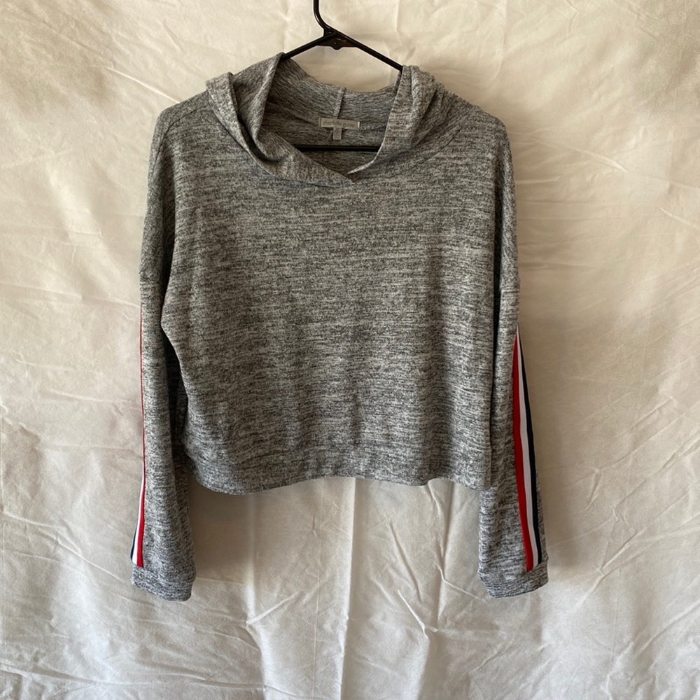 Charlotte Russe Cropped Sweater